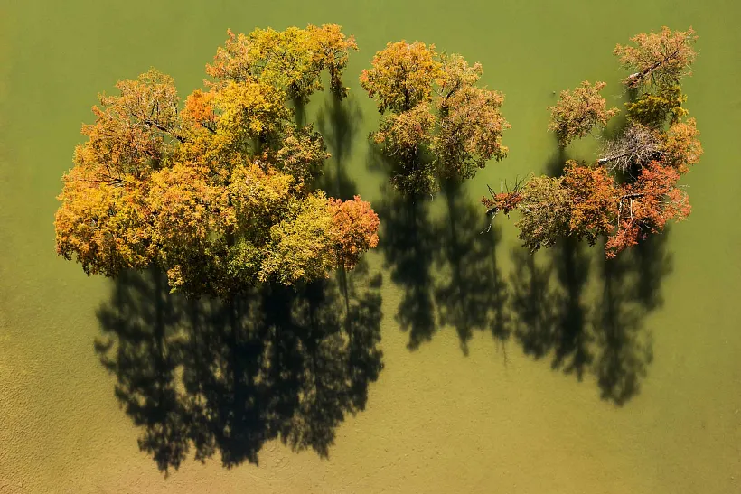 На&nbsp;Кубани охранные зоны установили на&nbsp;15&nbsp;памятниках природы