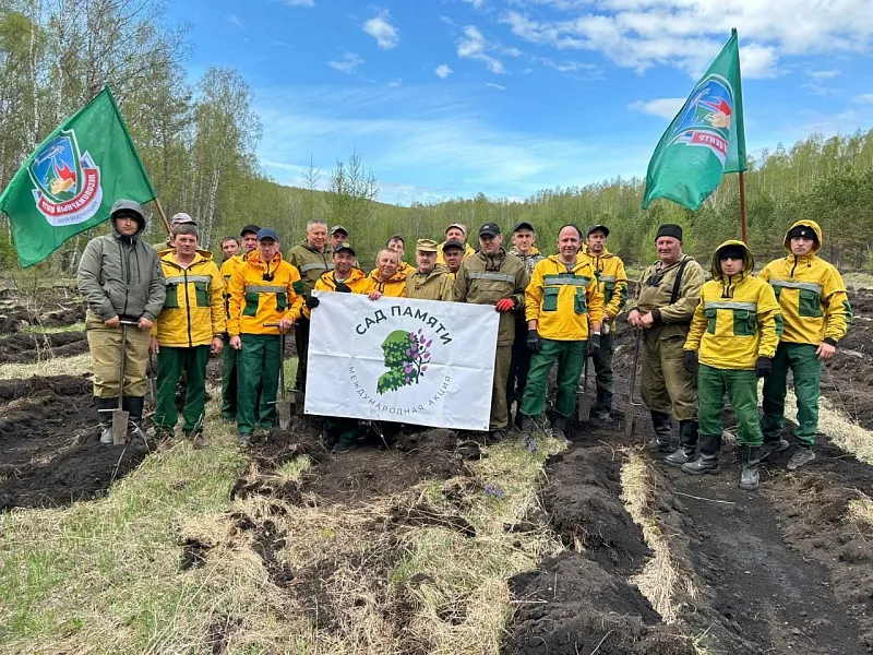 Лесные пожарные Красноярского края разбили Сад памяти