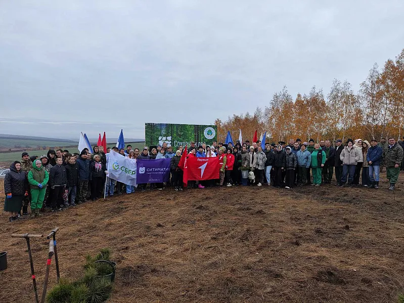 В&nbsp;Саратовской области в&nbsp;этом году высадили около 12&nbsp;миллионов деревьев