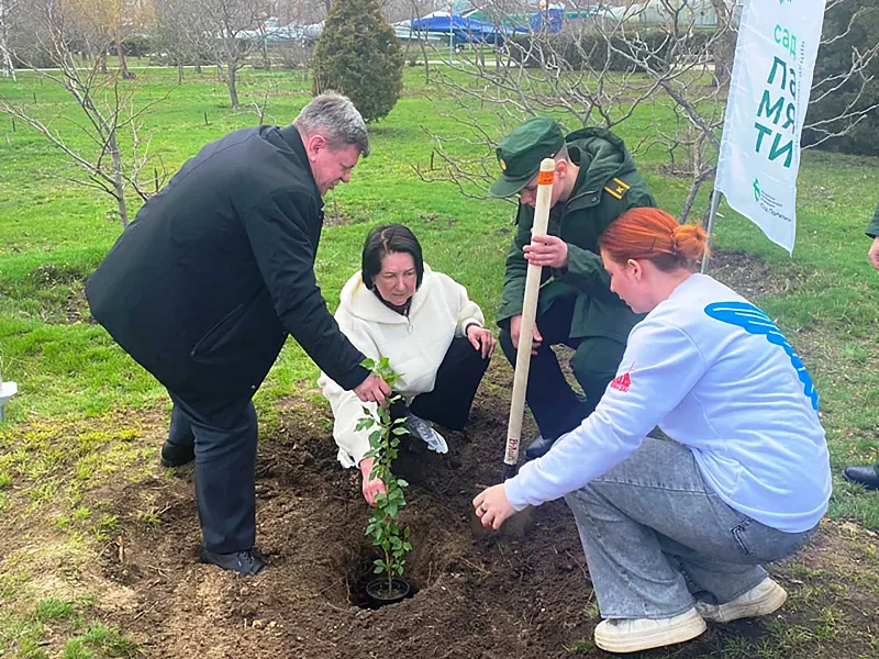 В&nbsp;городе Камышине Волгоградской области высадили саженец тополя Победы