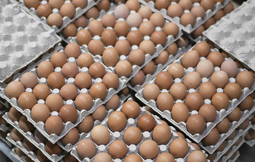 В&nbsp;Воронежской области выросло производство сельскохозяйственной продукции
