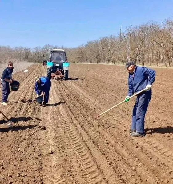 В&nbsp;Ставропольском крае модернизируют Калаусский лесхоз