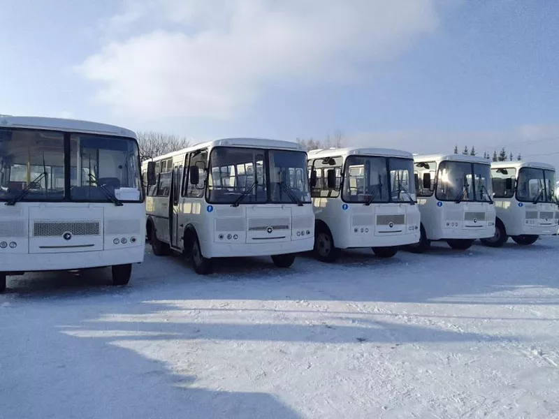 Более 200&nbsp;новых автобусов поступили в&nbsp;Свердловскую область