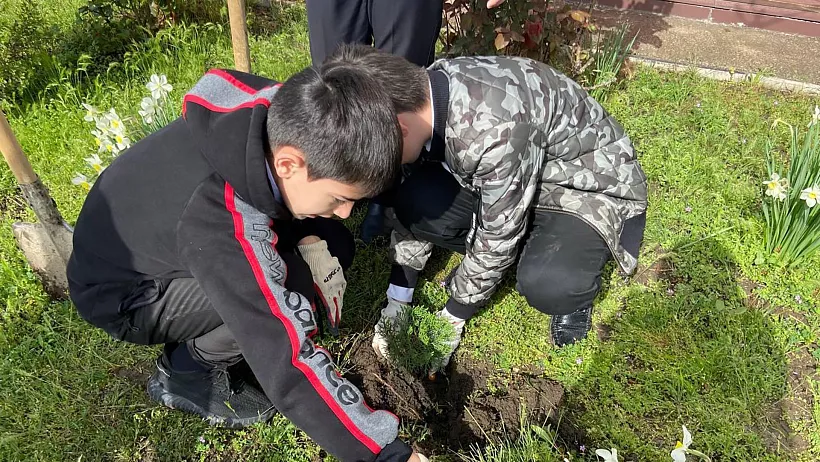 Школьники Грозного высадили деревья в&nbsp;городском парке