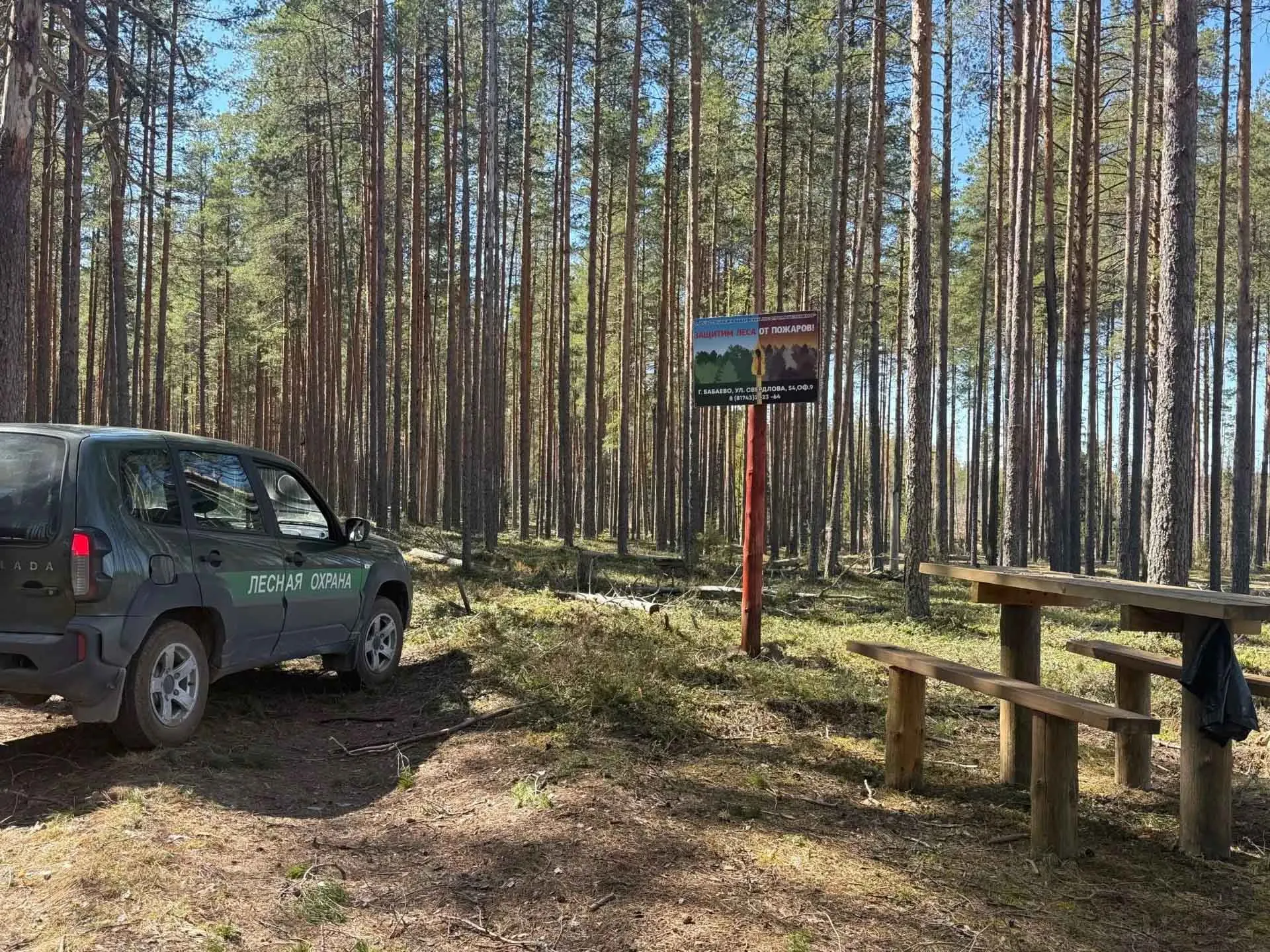 В&nbsp;Вологодской области провели более 7,5&nbsp;тысячи патрулирований лесов