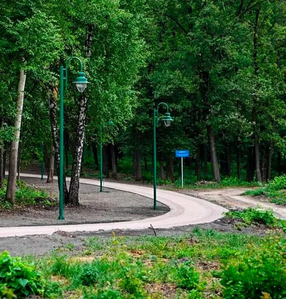 В&nbsp;Белгороде появится новая дистанция для&nbsp;бега