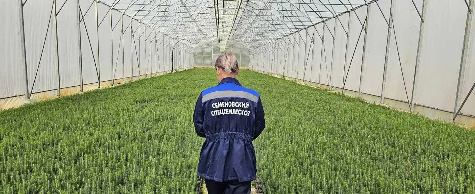 Пресс-служба Правительства Нижегородской области