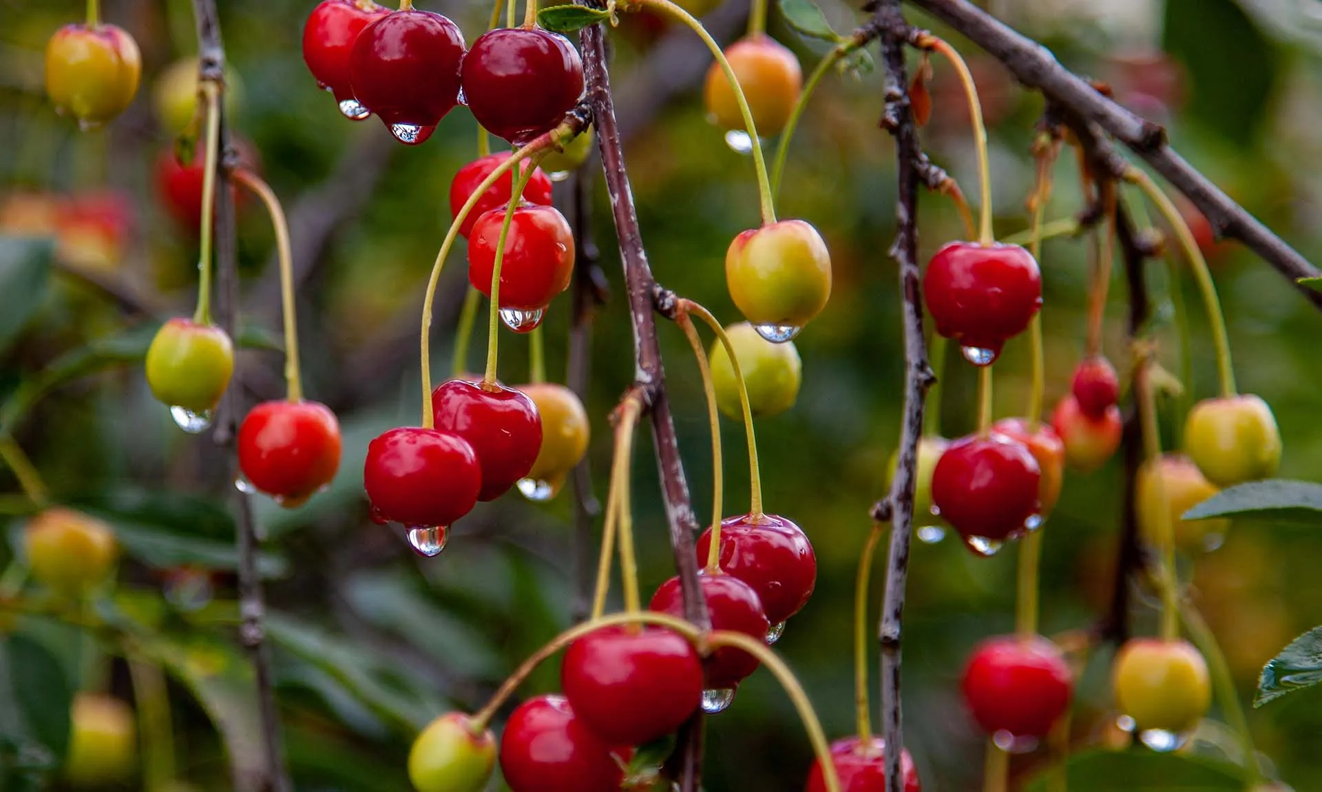 О. Король/Бизнес Online/ТАСС