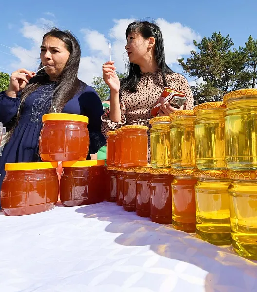 В&nbsp;Ростовской области завершились Дни крымского гостеприимства