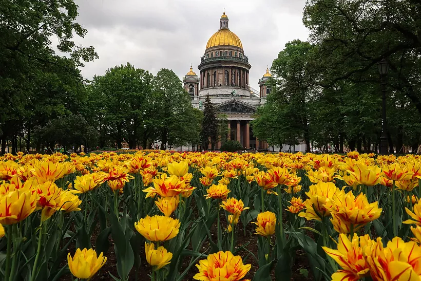 В&nbsp;Санкт-Петербурге благоустроят более 40&nbsp;общественных пространств
