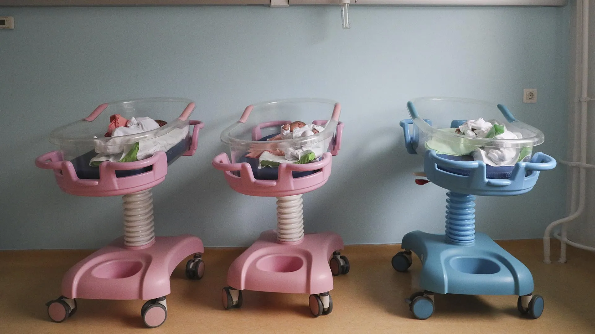 Гавриил Григоров/ТАСС