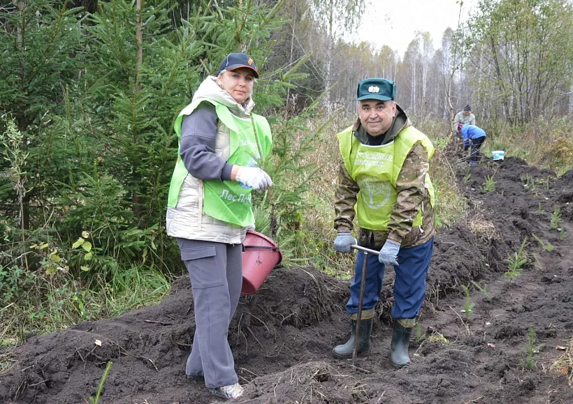 В&nbsp;2026&nbsp;году в&nbsp;Башкирии восстановят не&nbsp;менее 13&nbsp;тысяч гектаров леса
