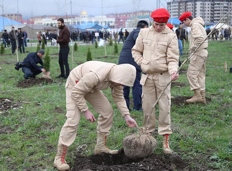В&nbsp;Ингушетии высадят более 70&nbsp;тысяч саженцев в&nbsp;ходе экоакции &laquo;Сад памяти&raquo;