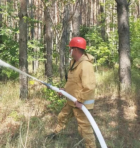 В&nbsp;Воронежскую область закупили оборудование для&nbsp;тушения лесных возгораний