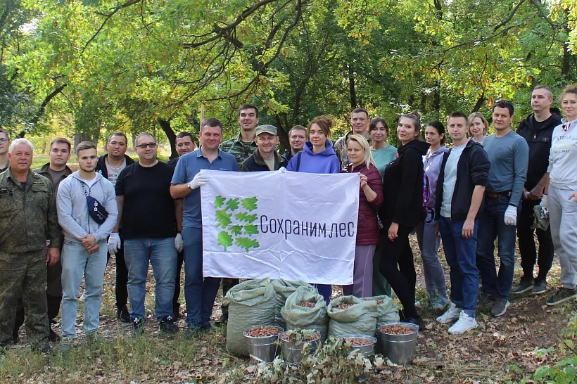 В&nbsp;Самарской области заготовили более шести тонн желудей