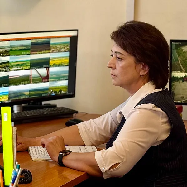 В&nbsp;лесах Самарской области дополнительно установят 10&nbsp;видеокамер