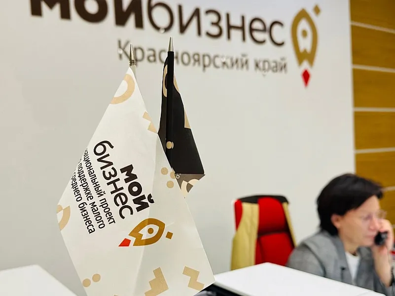 Предприниматели Красноярского края в&nbsp;2024&nbsp;году получили более 12&nbsp;тыс. услуг