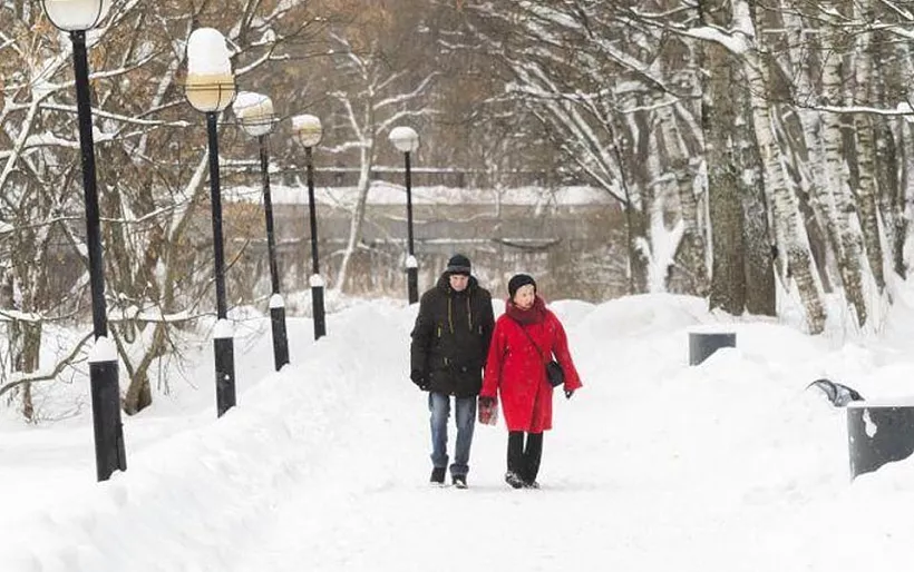 В&nbsp;подмосковном городе Щелково благоустроят лесопарковую зону