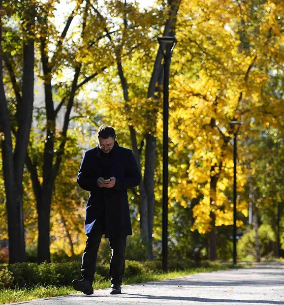В&nbsp;Благовещенске появится &laquo;амурский лес&raquo; с&nbsp;видом на&nbsp;Китай