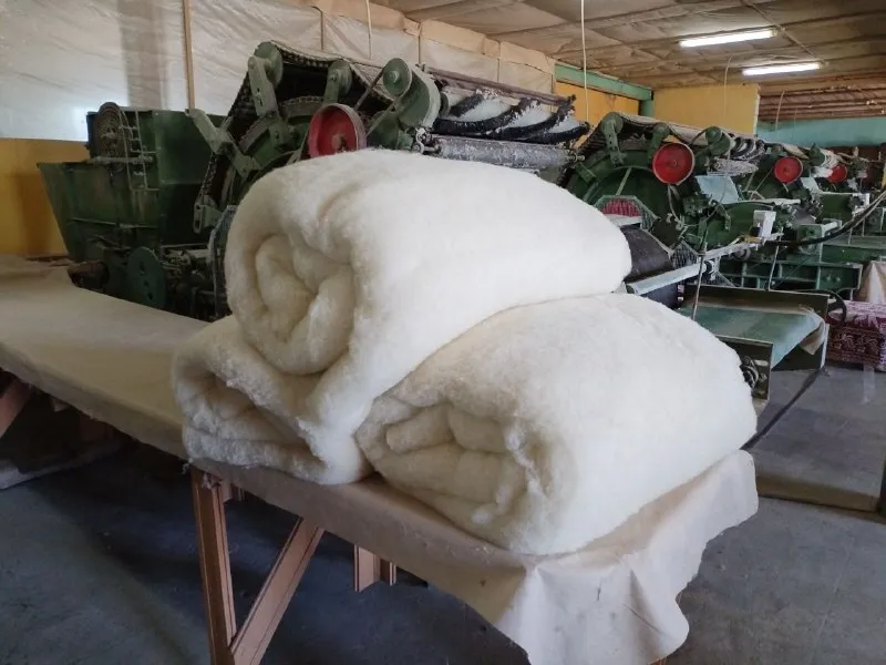 Предприятия Забайкалья и&nbsp;Бурятии создадут кластер по&nbsp;переработке шерсти