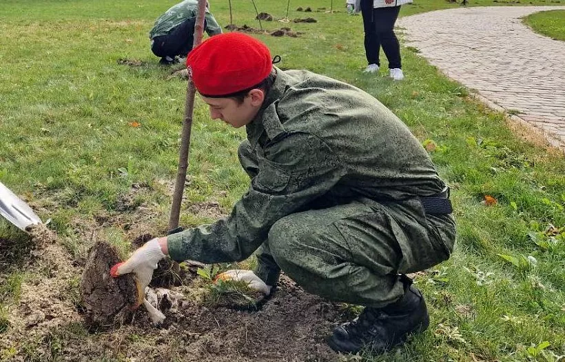 Волонтеры в&nbsp;Ростовской области высадили 10&nbsp;тысяч растений