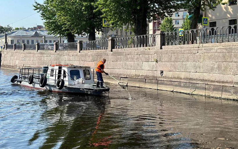 В&nbsp;двух районах Санкт-Петербурга очистили акватории от&nbsp;мусора