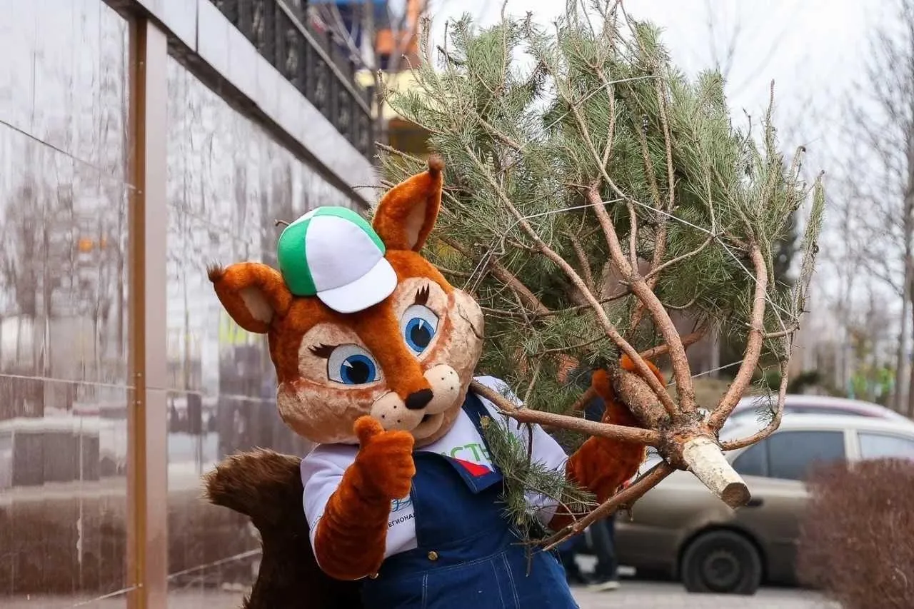 Министерство региональной политики и массовых коммуникаций Ростовской области