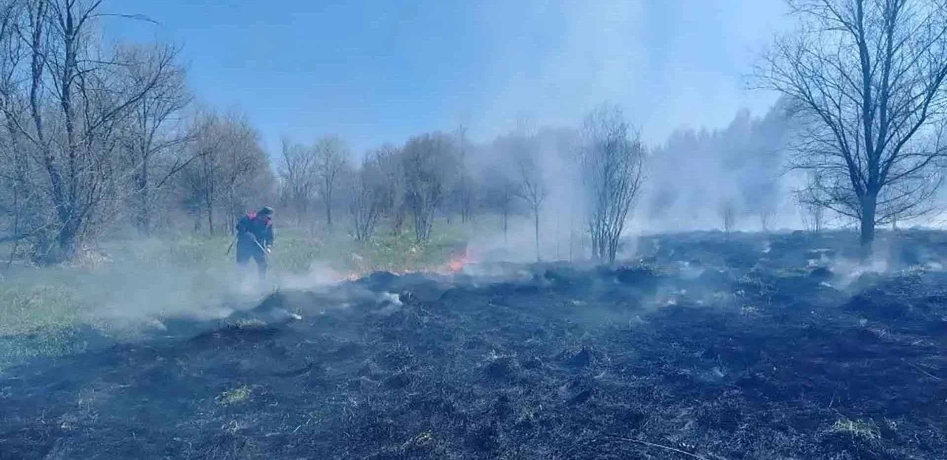 Министерство природных ресурсов и экологии Самарской области