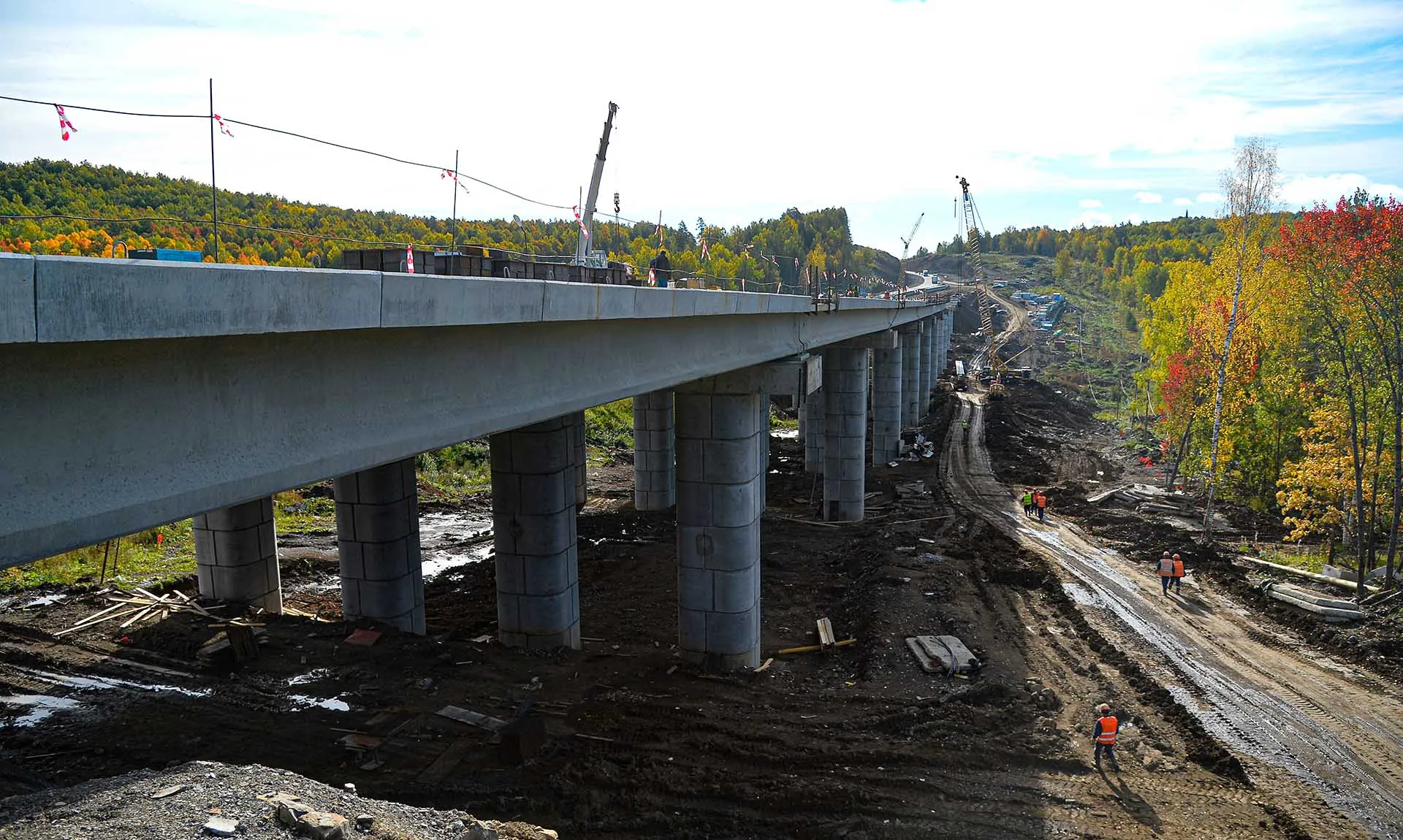 Александр Кондратюк/РИА Новости 