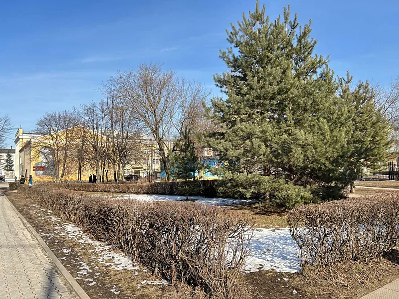 В&nbsp;Королёве благоустроят сквер имени Анатолия Чмырева