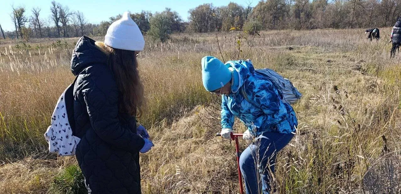 Администрация Красноярского муниципального района