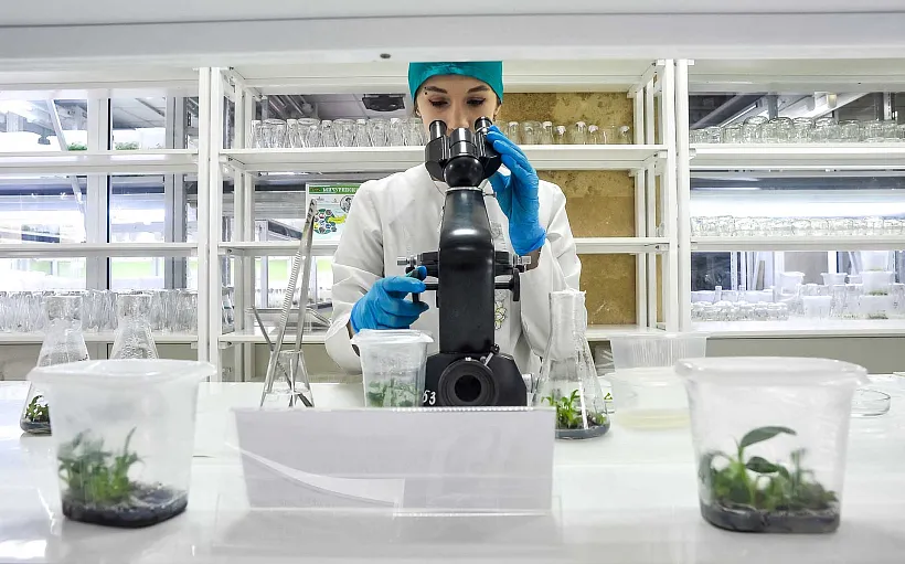 От&nbsp;лекарств до&nbsp;топлива: как&nbsp;биоэкономика делает жизнь россиян лучше