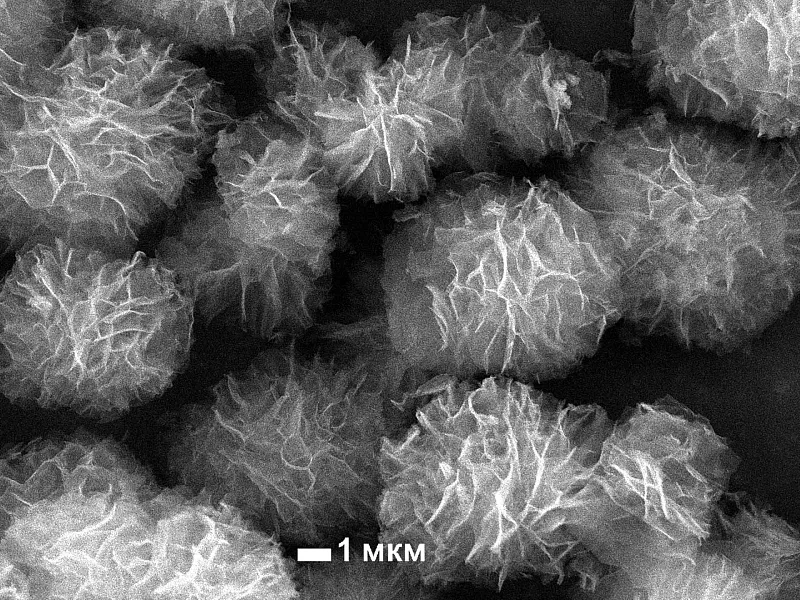 Челябинские ученые смогли сделать пластик менее токсичным