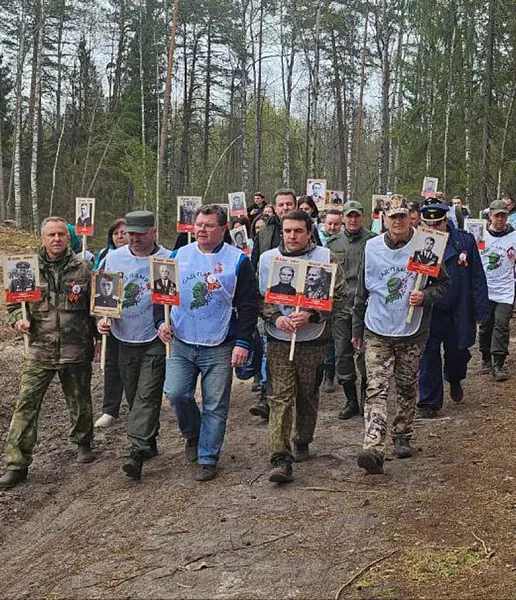 В&nbsp;Нижегородской области высадили около 23&nbsp;тысяч сосен