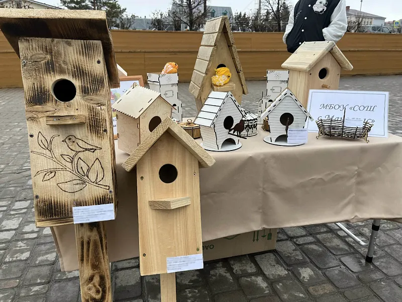 В&nbsp;городе Кукморе в&nbsp;Татарстане прошел Фестиваль птиц