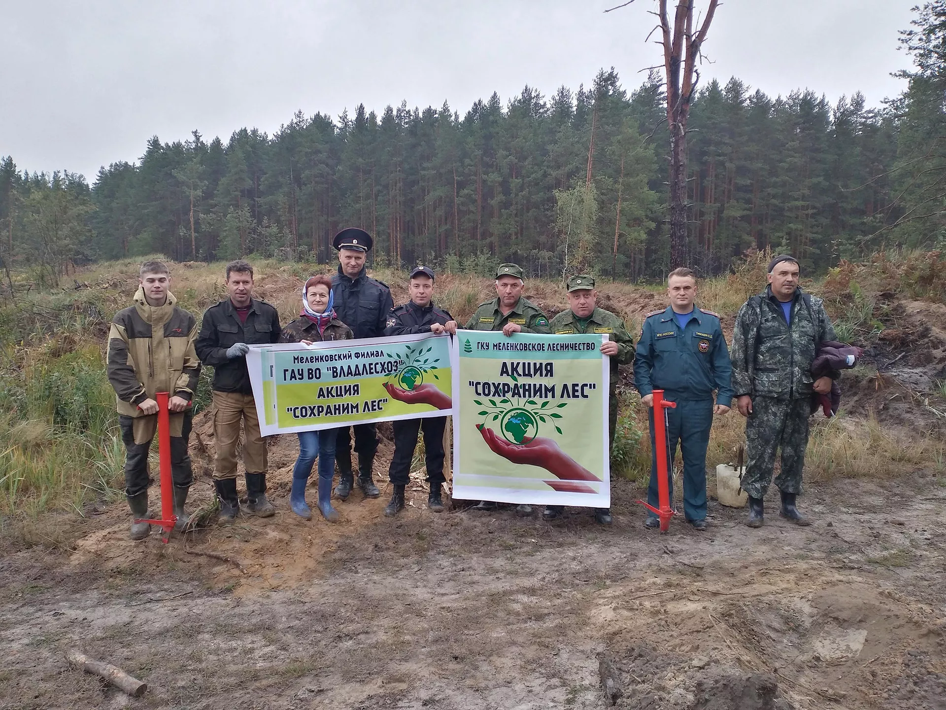 Департамент лесного хозяйства Владимирской области