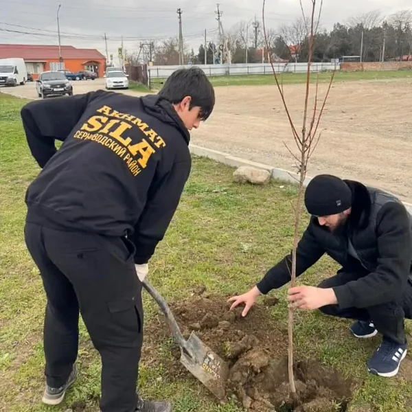 В&nbsp;Серноводском районе Чеченской Республики высадили 500&nbsp;молодых деревьев