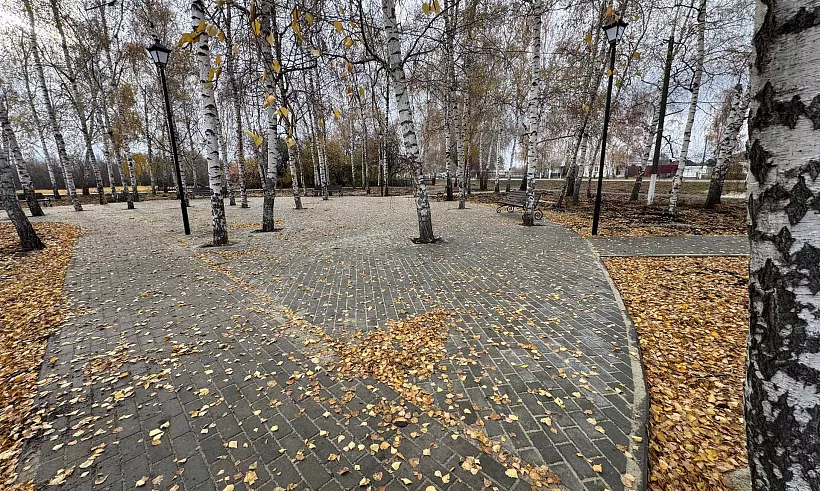 В&nbsp;поселке Грибановском Воронежской области благоустраивают пешеходную зону