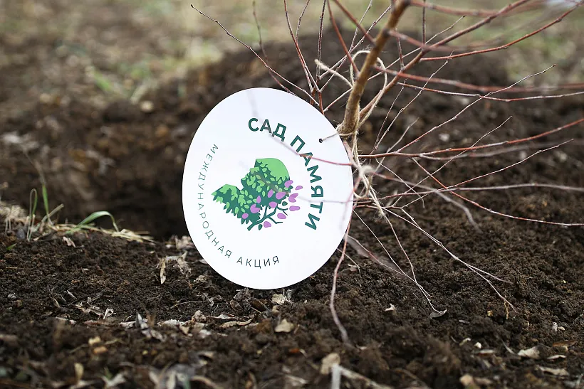 В&nbsp;Татарстане высадят более миллиона деревьев в&nbsp;ходе акции &laquo;Сад памяти&raquo;