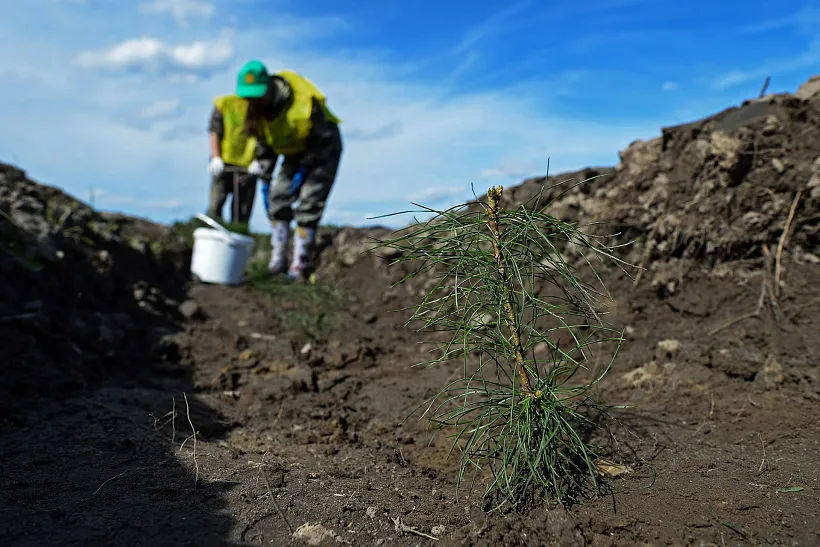 Лесохозяйственные учреждения в&nbsp;Туве получили современную технику