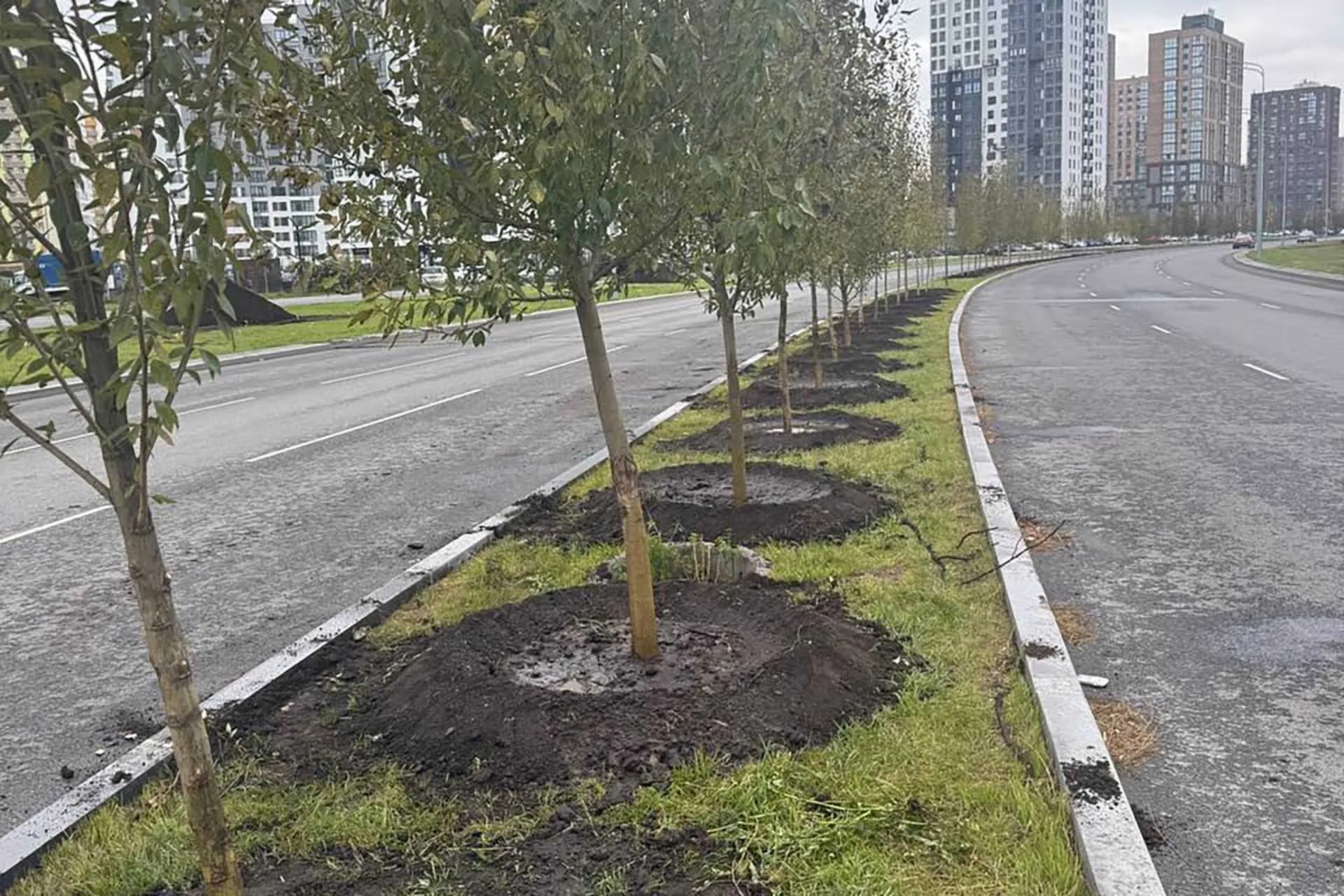 Администрация города Тюмени