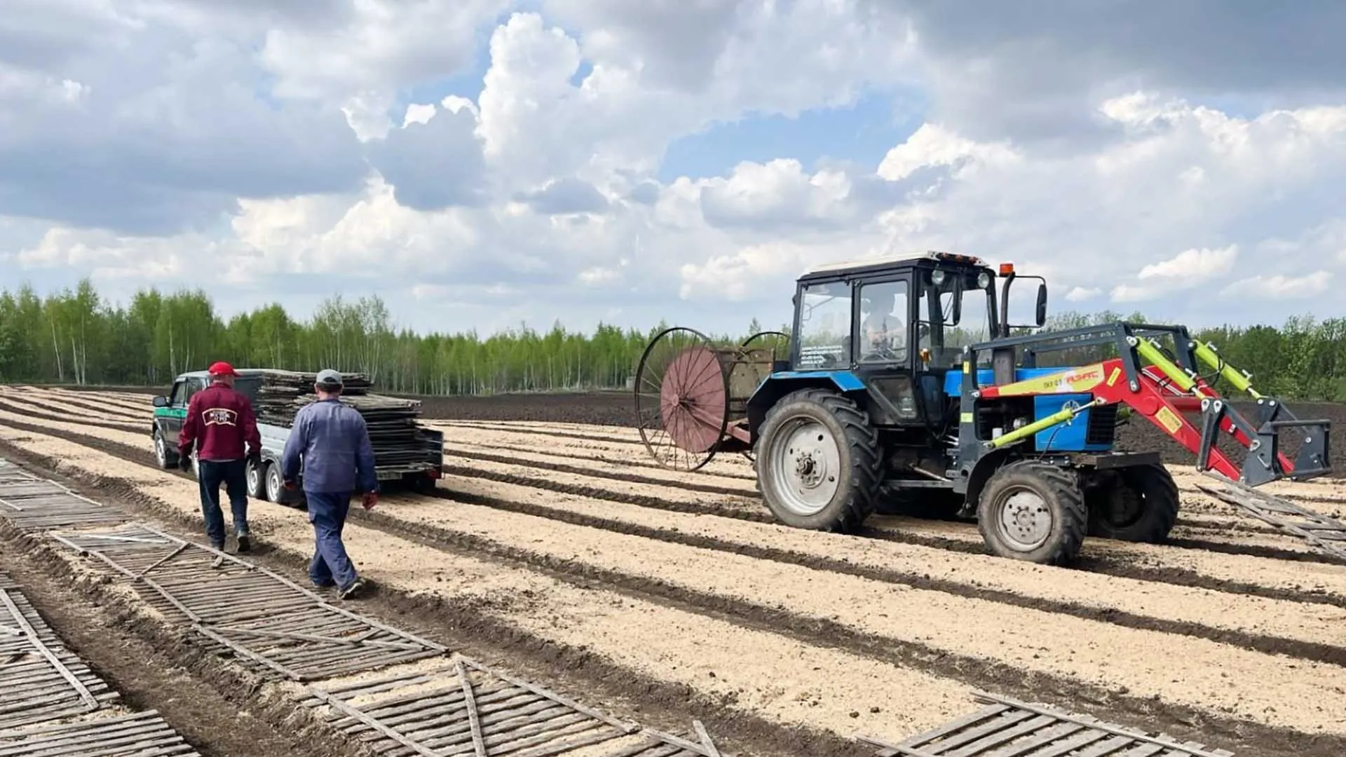 Министерство лесного хозяйства Республики Татарстан