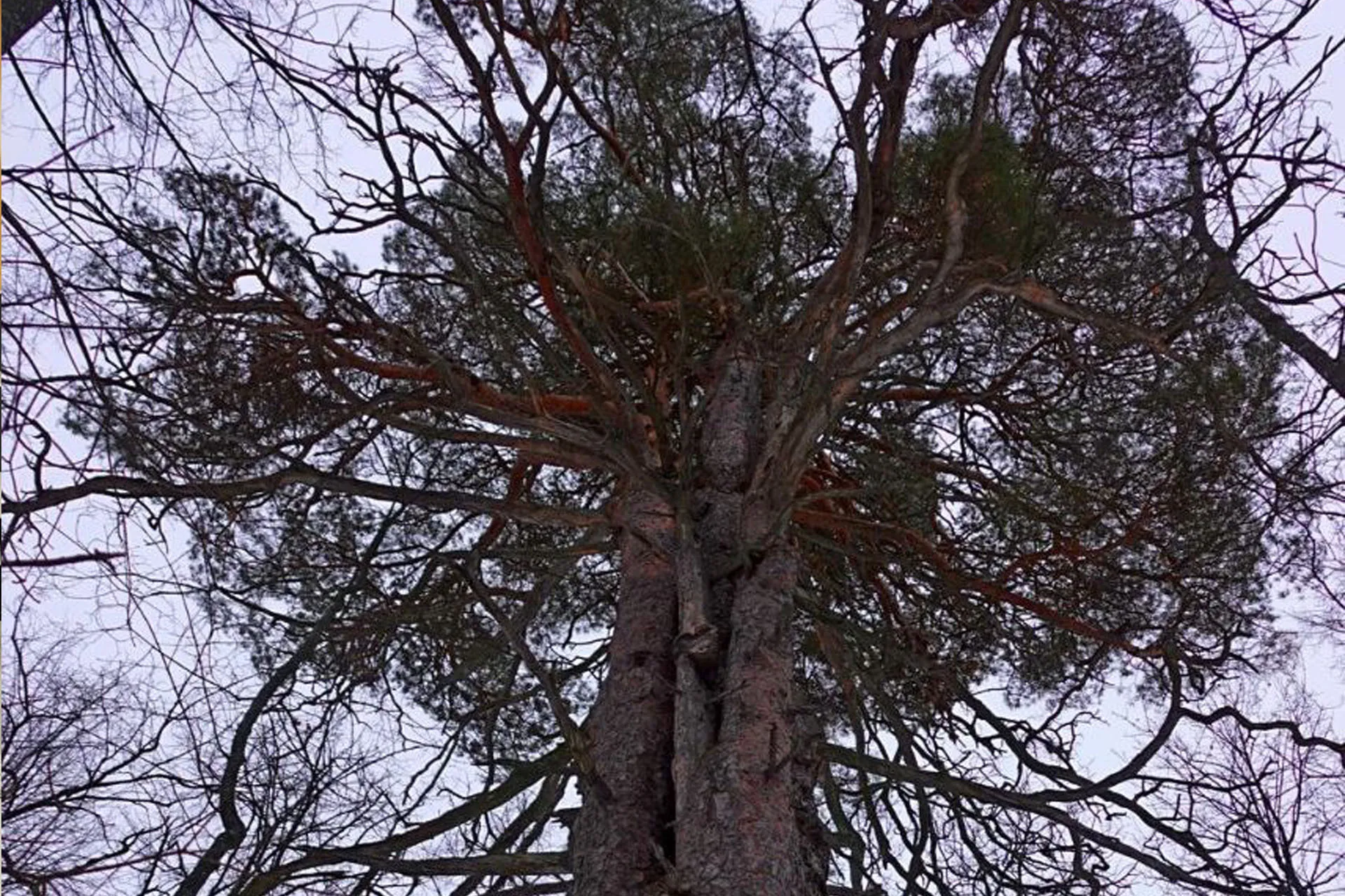 Минприроды Саратовской области