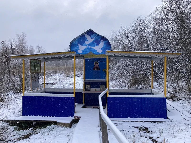 В&nbsp;Ульяновской области за&nbsp;год благоустроят 22&nbsp;родника