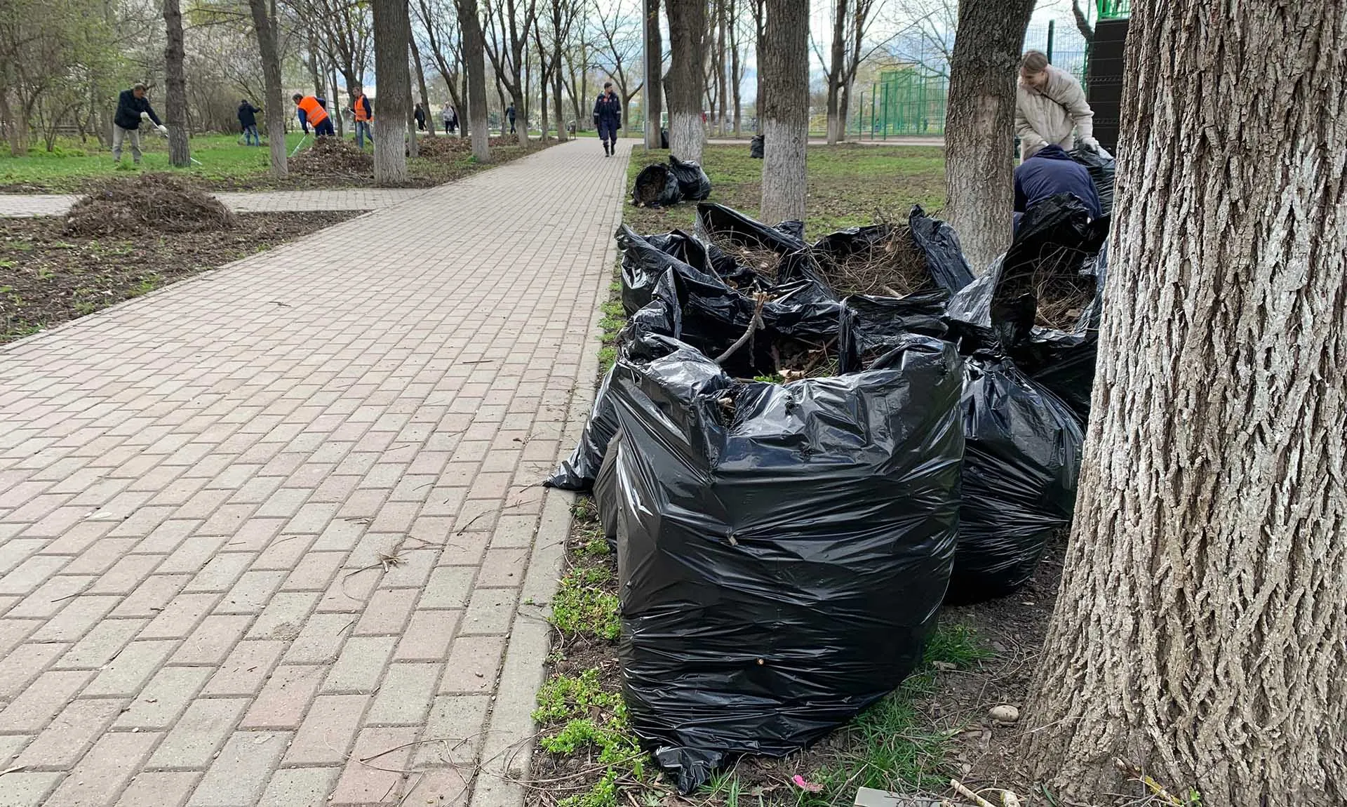 Правительство Ставропольского края