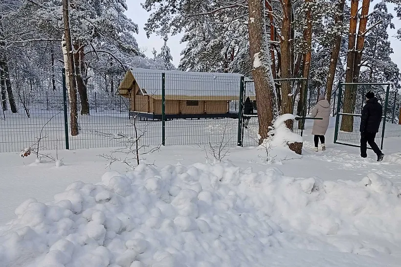 В&nbsp;Злынковском районе Брянской области создали кемпинг &laquo;Панорама&raquo;