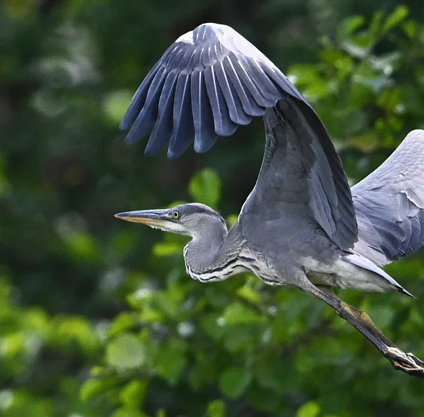 В&nbsp;Калужской области стартовал конкурс &laquo;Природа в&nbsp;деталях&raquo;