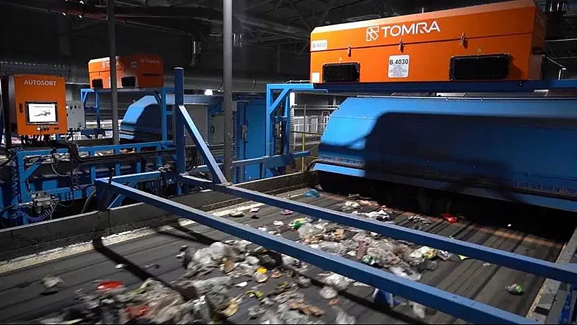 В&nbsp;Ярославской области заложили парк из&nbsp;10&nbsp;тысяч елей