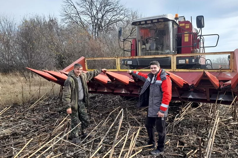 Воронежская сельскохозяйственная компания повысит производительность труда