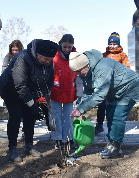 В&nbsp;Устюжне появилась Аллея 80-летия Победы